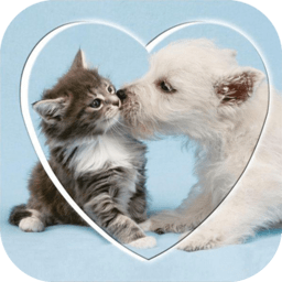 速跳猫狗交流器app