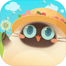 猫咪公寓赚钱版