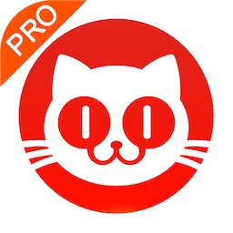 猫眼票房分析官方版