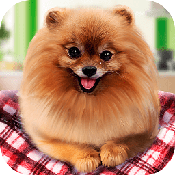 宠物狗生活模拟手游