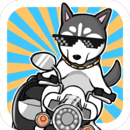 养只二哈不容易3游戏