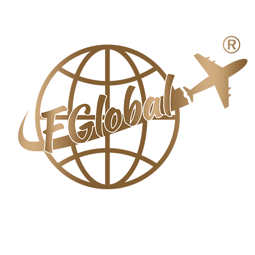 飞际移民官方版