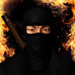 忍者的功夫贼厉害游戏中文版