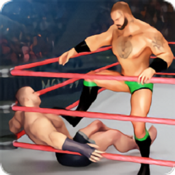 超级巨星摔跤格斗手机版