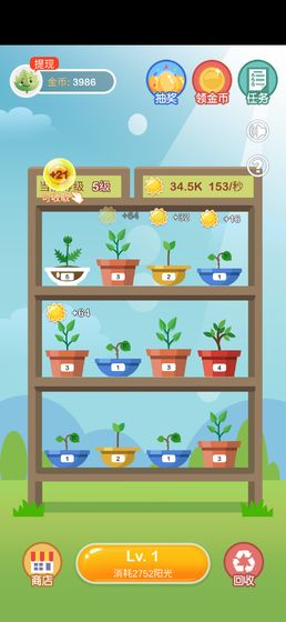 阳光金币屋正版下载